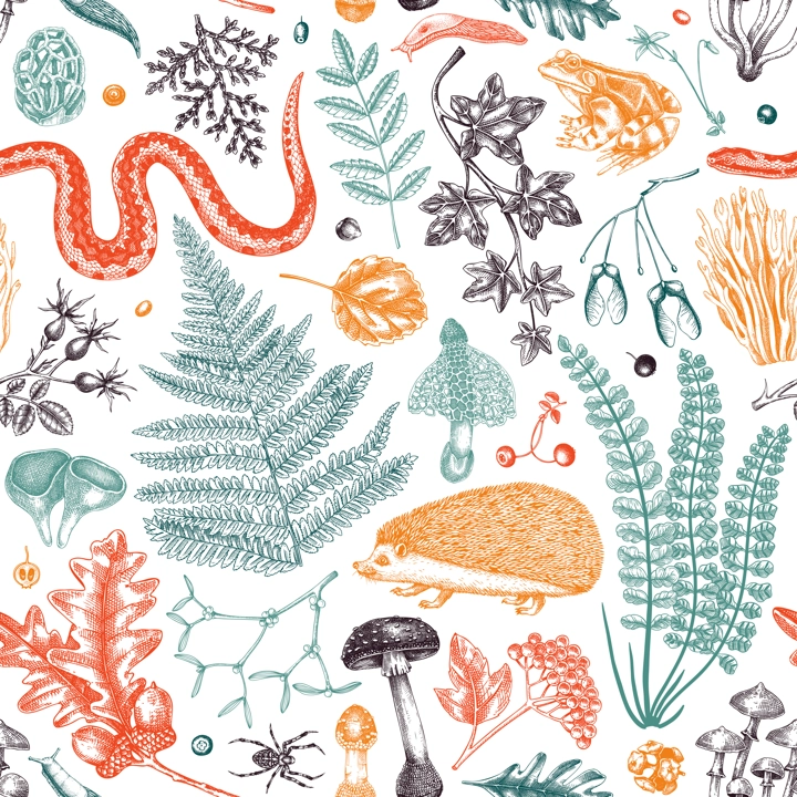 Vector seamless pattern with woodland animals, fern leaf, mushrooms, fall leaves and autumn plant sketch. Beautiful botanical repeating texture. Hand drawn autumn forest background for print, fabric, 